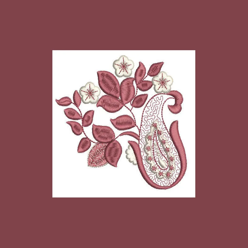 Paisley Moments